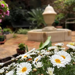 https://hotel-de-la-font-peralada.topcostabravahotels.com